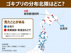 
ゴキブリの北限はどこ!? 北海道のゴキブリ事情
        