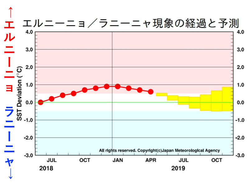 
エルニーニョ現象は終息　8月は夏らしい暑さに
        