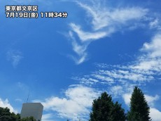 
東京で今年はやっと7月初の真夏日　36年ぶりの遅さに
        