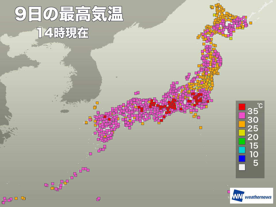 
台風15号がもたらした東京の36℃
        