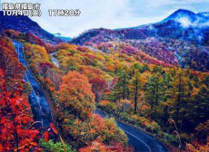 
東北や長野などの山では紅葉が見頃に
        