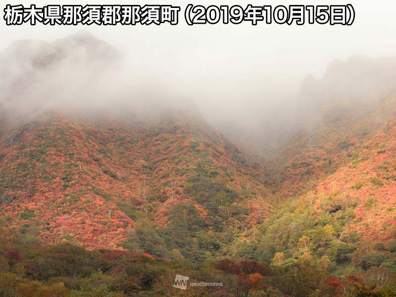 
那須高原に紅葉シーズンが到来
        