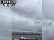 
関東南部は鈍色の空続く
        