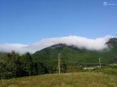 
峠から霧が降り注ぐ「風伝おろし」が出現　三重・御浜町
        