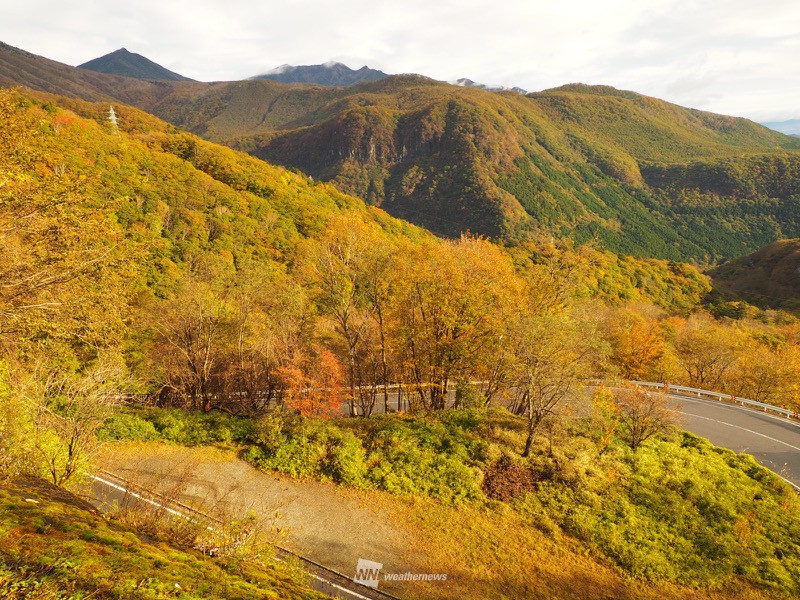 
美しく染まる奥日光 日光東照宮の紅葉は来週末には見頃へ
        