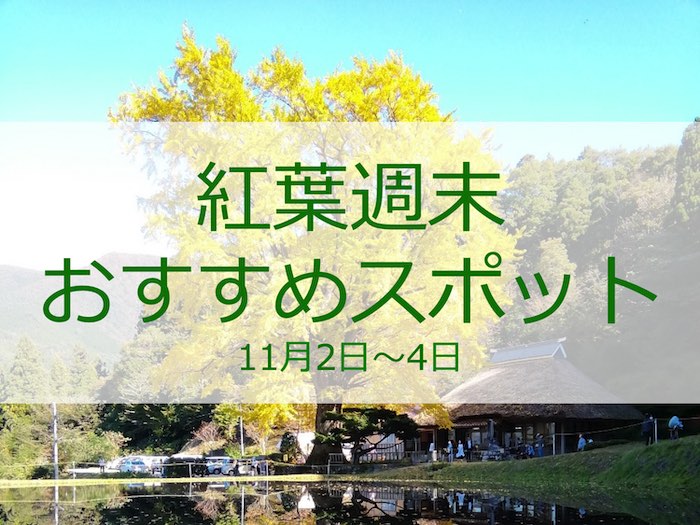 
三連休初日は絶好の紅葉狩り日和　関東山沿いも見頃拡大中
        