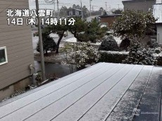 
札幌は今季初の氷点下　北海道各地で雪が強まる
        
