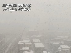 
札幌で急に雪が強まる　明日17日(日)朝は雪かき必須
        