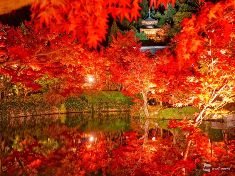 
紅に染まり始めた京都　早い所から紅葉は見頃に
        
