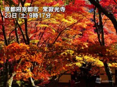 
見頃を迎えた京都の紅葉　青空バックは今日23日(土)が狙い目
        
