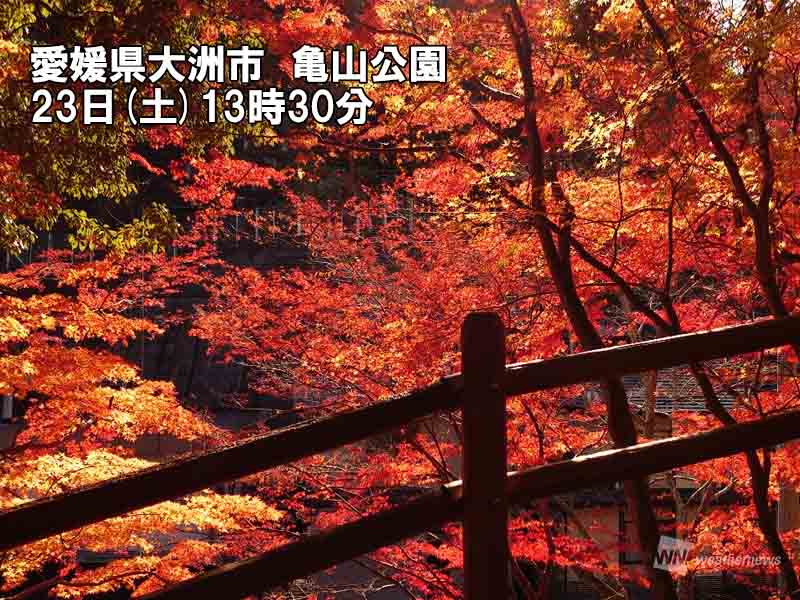 
京都だけじゃない　西日本や東海で鮮やかな紅葉
        