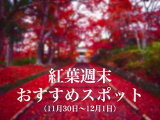 
30日(土)は紅葉狩り日和　京都は美しい“散りもみじ”の季節へ
        