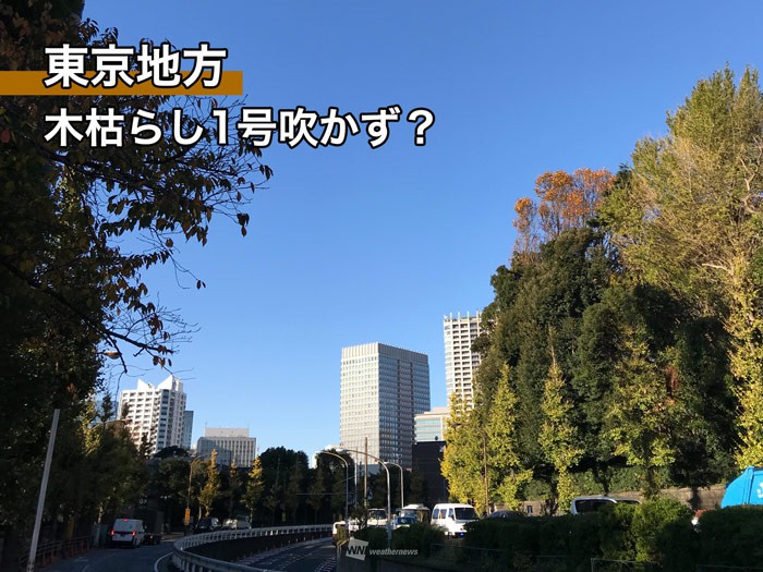 
今年も東京地方の木枯らし1号吹かず？　2年連続は統計史上初
        