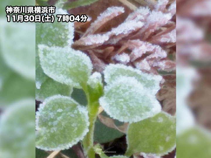 
今朝も厳しい冷え込み　横浜や静岡では初霜を観測
        