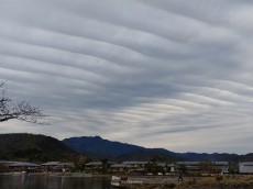 
東京や京都など広い範囲で、ナミナミとした波状雲が出現
        