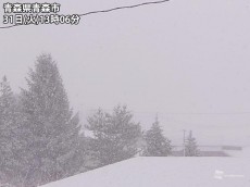 
冬の嵐で日本海側は吹雪　視界不良や積雪増加に警戒
        
