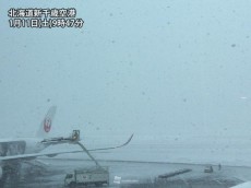 
北日本は午後にかけ雪や雨の範囲が拡大
        