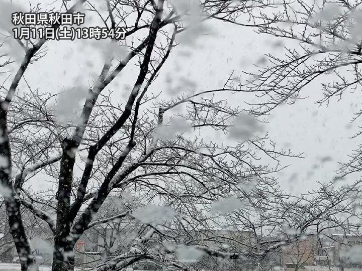 
秋田市内は雨から雪に変化　一週間ぶりの積雪1cm
        
