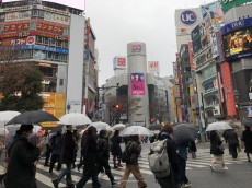 
東京など関東　雨のピーク過ぎるも夕方にわか雨注意
        