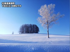 
霧氷の樹と雪原が見事な北海道　宝石のような朝の情景に
        