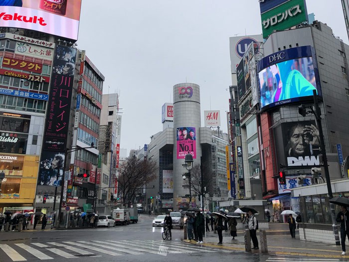 
東京都心など関東は昼過ぎまで本降りの雨　夜は傘の置き忘れに注意
        