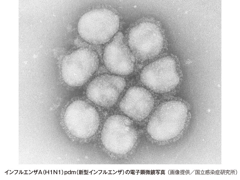 
インフルエンザウイルスの寿命は湿度で決まる
        