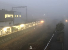 
大阪や奈良など近畿や内陸で濃霧発生　視界不良に注意
        