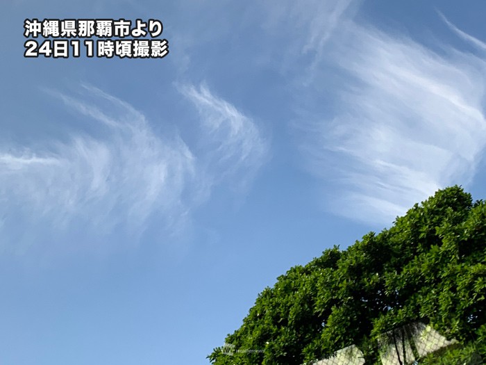 
太陽ギラギラ　那覇は今年初めての夏日に
        