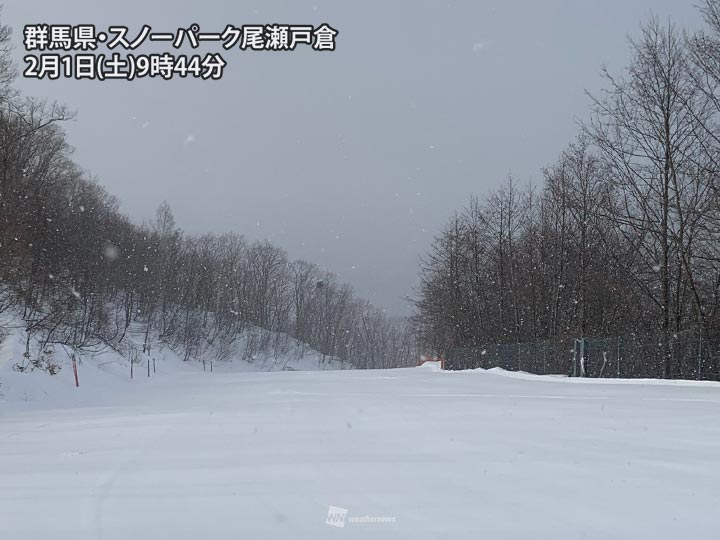 
本州山沿いで積雪増加　スキー場には待望の新雪
        