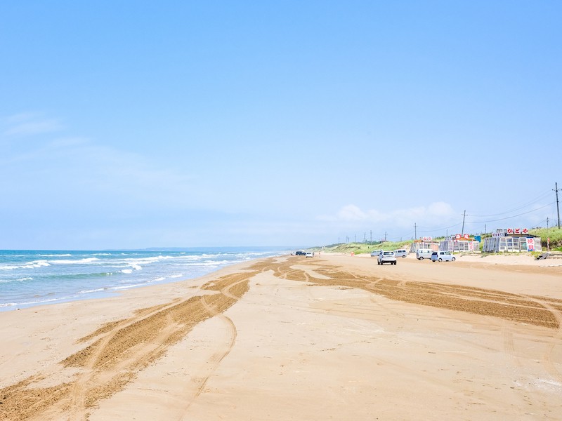 
海水浴場では「旗」でも伝達へ　津波予想時の周知
        