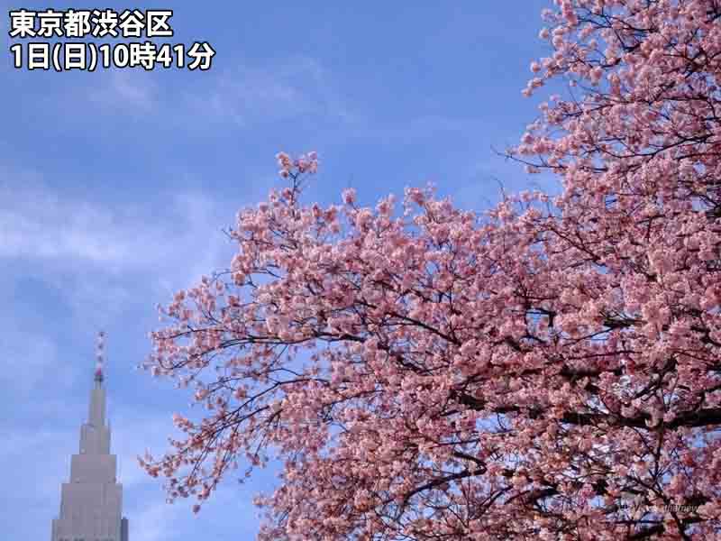 
3月スタートは春の陽気　東京は6日ぶりに15℃を突破
        