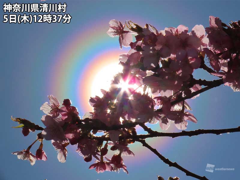 
関東は吹き荒れる北風で花粉が大量飛散
        