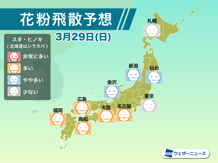 
3月29日(日)の花粉飛散予想　西日本や東海で多く飛散
        