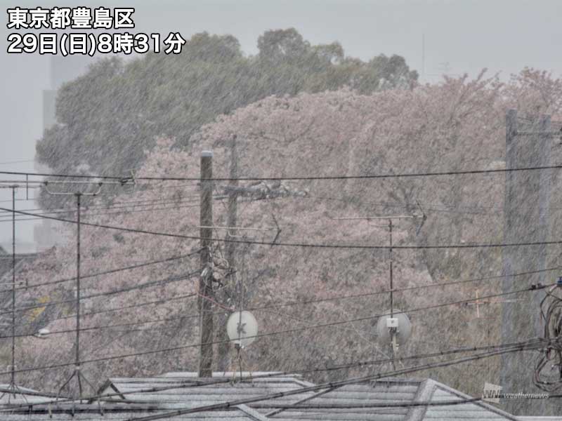 
東京都心で雨から雪に変化　気温は2℃を割り込む
        