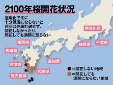 
地球温暖化でソメイヨシノの開花遅れ？ 今年の暖冬は「今世紀末並み」
        