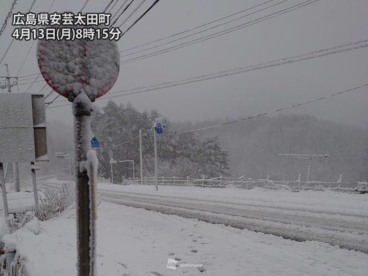 
中四国の山間部で大雪　午後は関東甲信や東北の山も積雪注意
        