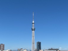 
東京で22℃予想　天気回復し前日との気温差に注意
        
