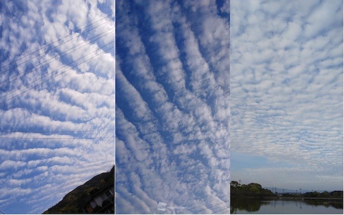 
九州各地で波状雲が出現　西日本の雨の予兆
        