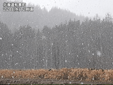 
北日本は大気の状態が不安定　落雷やあられのおそれ
        