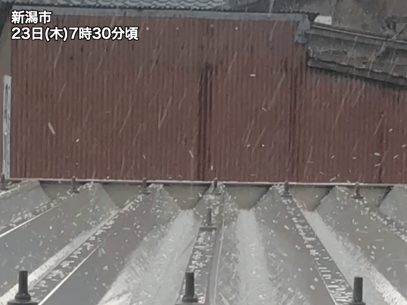 
北日本は雷雨や突風、あられに注意　大気の状態が不安定
        