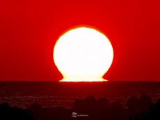 
だるま朝日　くびれた太陽が出現　青森県三沢市
        