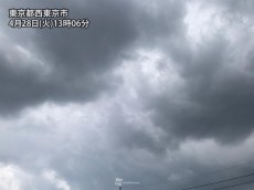 
午後になり東京都内も雨　夕方にかけて雷雨に注意
        