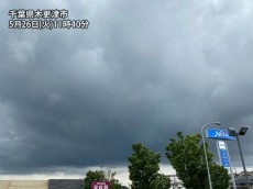 
千葉で雨雲が急発達　関東、広い範囲の雨は夕方から
        