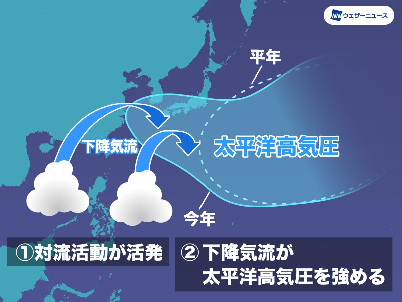 
夏以降は若干ラニーニャの可能性も　台風の発生は平年より西よりか
        