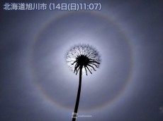 
北海道で光の輪「ハロ」が発生　ゆっくり天気下り坂のサイン
        