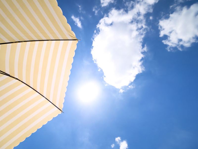 
紫外線の気になる季節　UV効果の高い日傘の色とは？
        