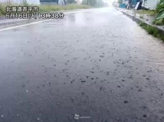 
北海道は広い範囲で雷雨　東北は局地的な強い雨に
        