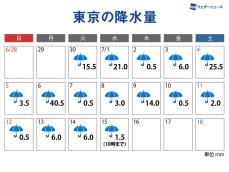 東京の雨は16日連続、観測史上最も長い降水の記録に