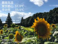 8月らしい暑さ　東京も4日ぶりの真夏日に