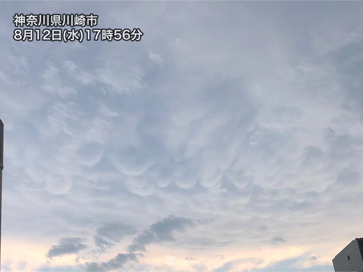 東京や神奈川に乳房雲が出現　ゲリラ豪雨をもたらす雨雲の一部